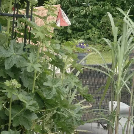 Apartmán Von Ahrentschildt-pestalozzistrasse 29